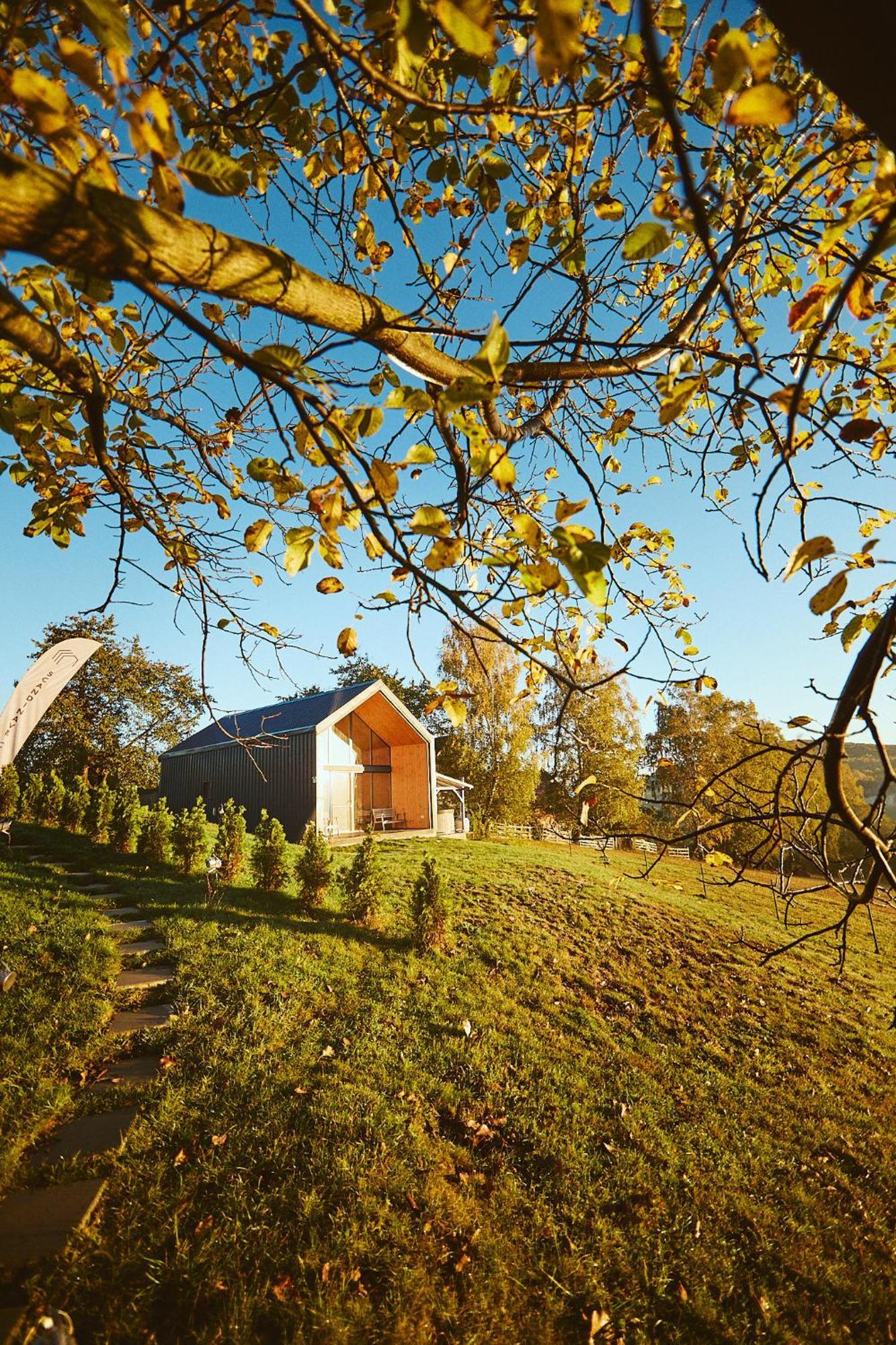 Scandinave Chalet Bran Zărneşti Екстериор снимка