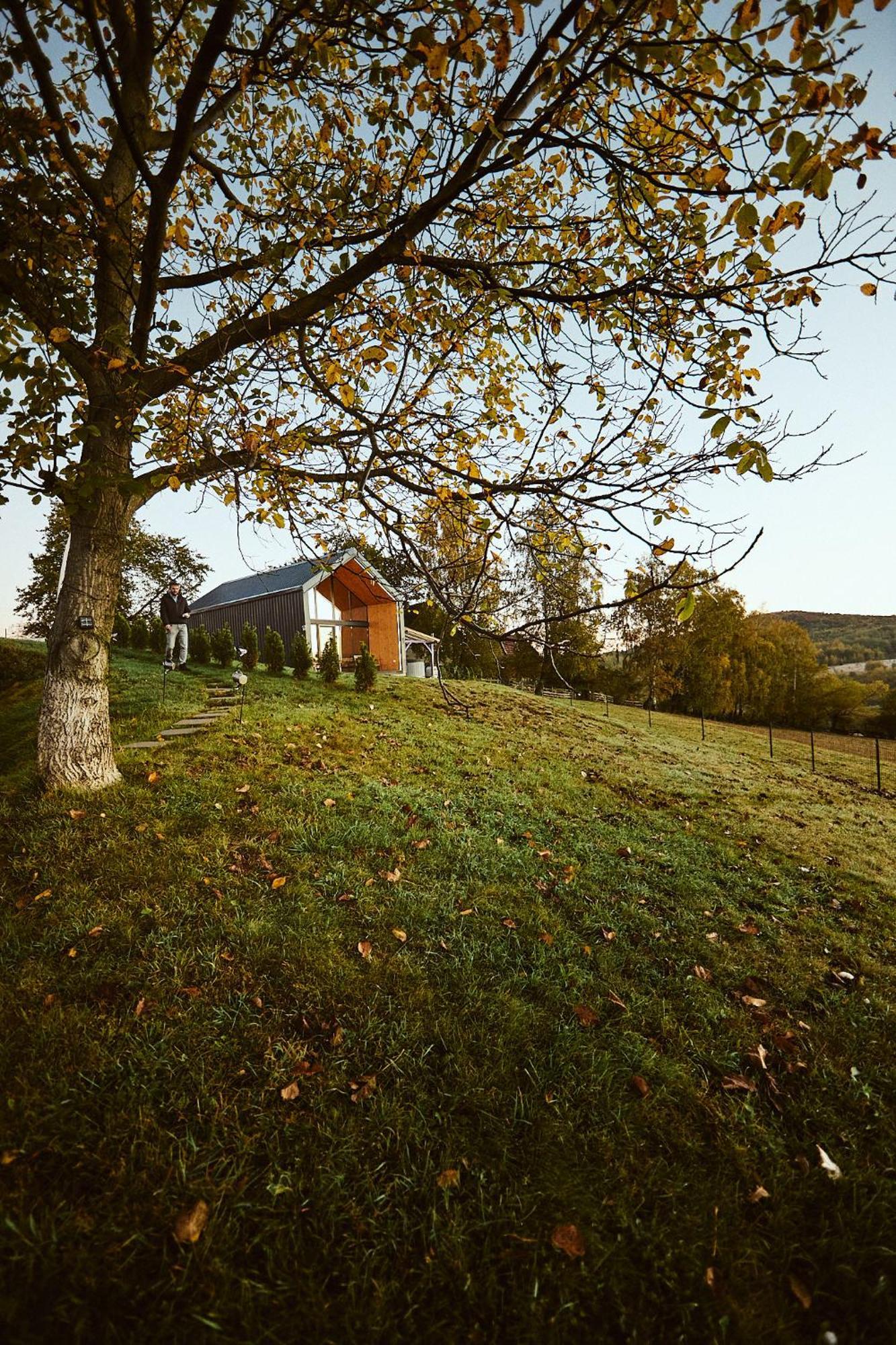 Scandinave Chalet Bran Zărneşti Екстериор снимка