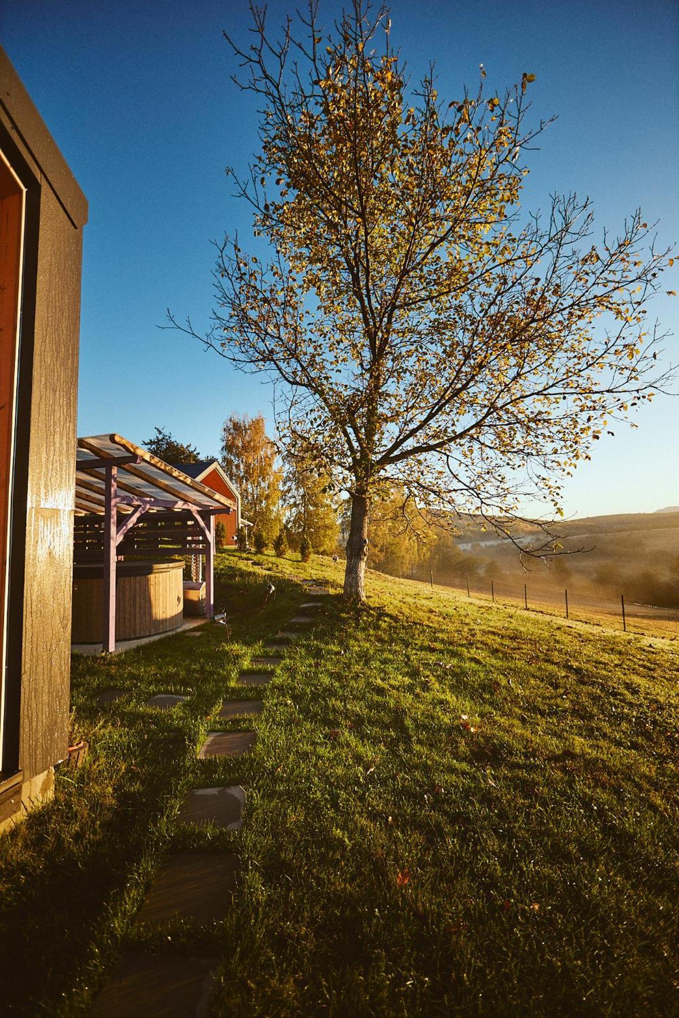 Scandinave Chalet Bran Zărneşti Екстериор снимка