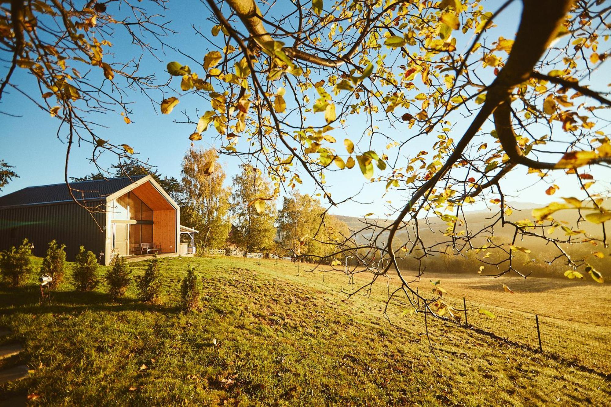 Scandinave Chalet Bran Zărneşti Екстериор снимка