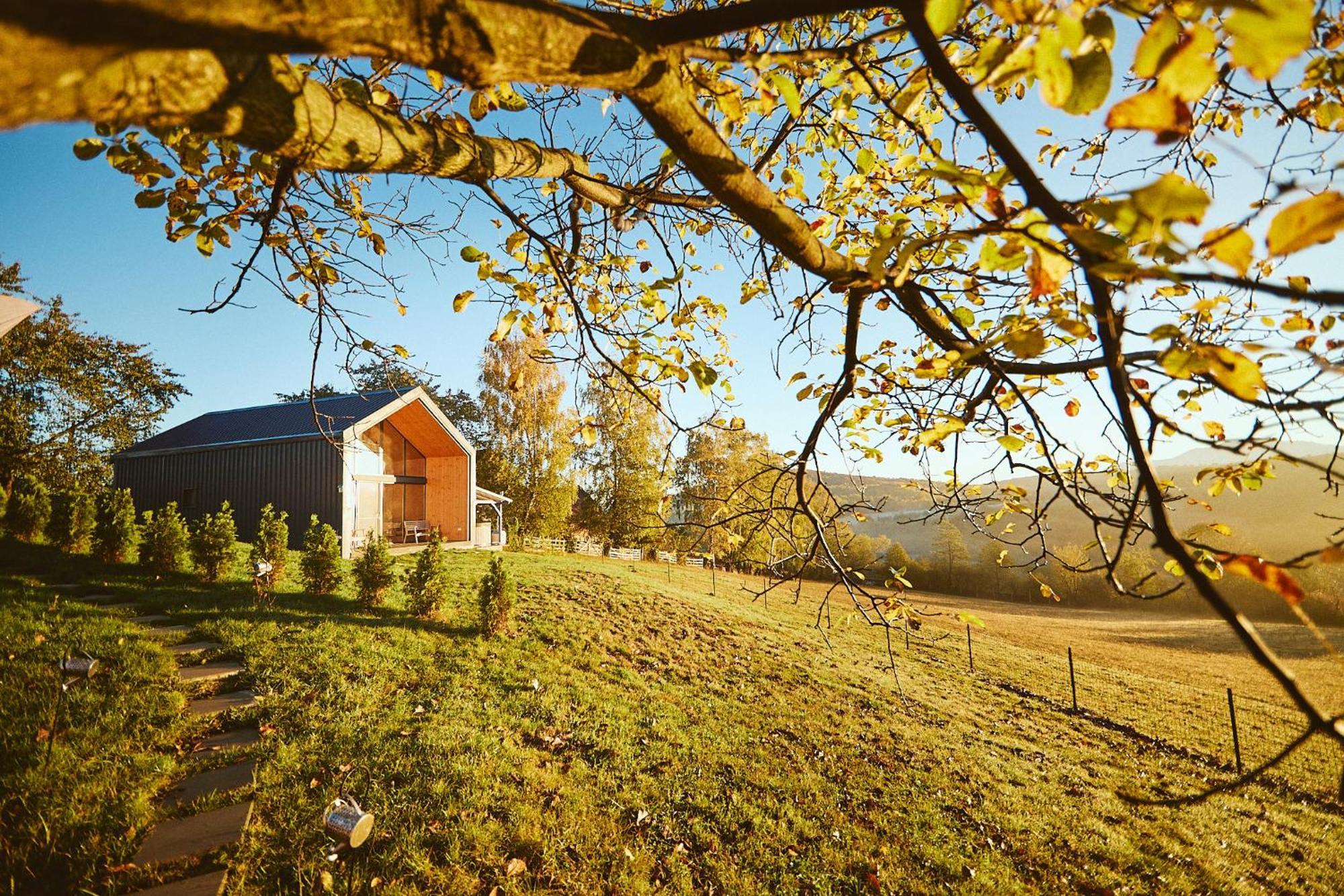 Scandinave Chalet Bran Zărneşti Екстериор снимка