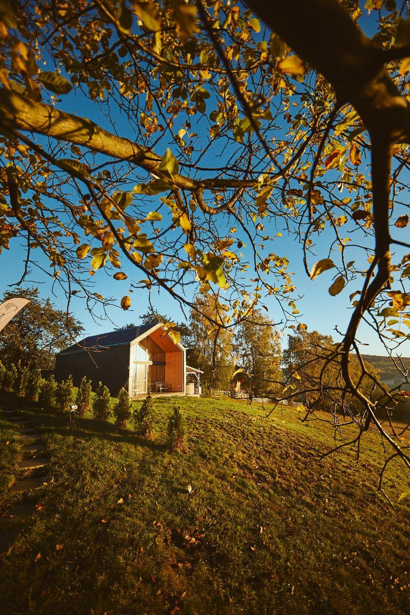Scandinave Chalet Bran Zărneşti Екстериор снимка
