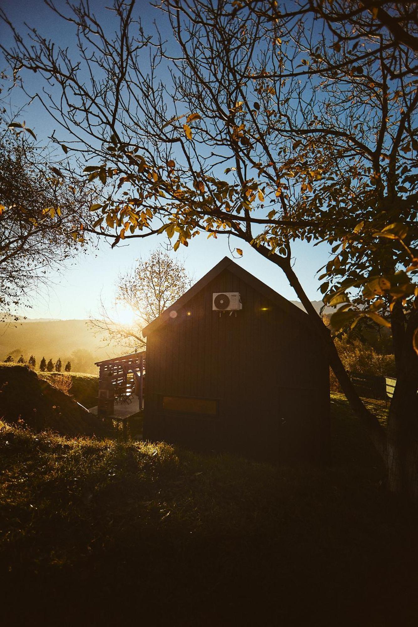 Scandinave Chalet Bran Zărneşti Екстериор снимка