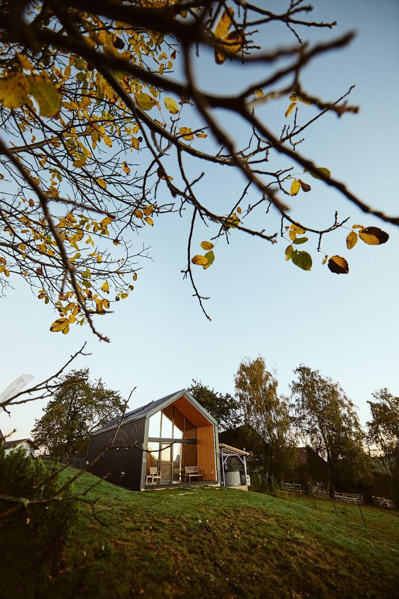 Scandinave Chalet Bran Zărneşti Екстериор снимка